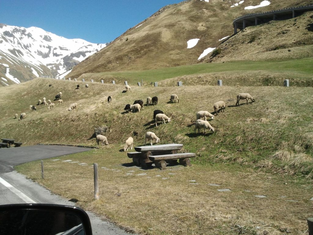 Großglockner – Foto 35