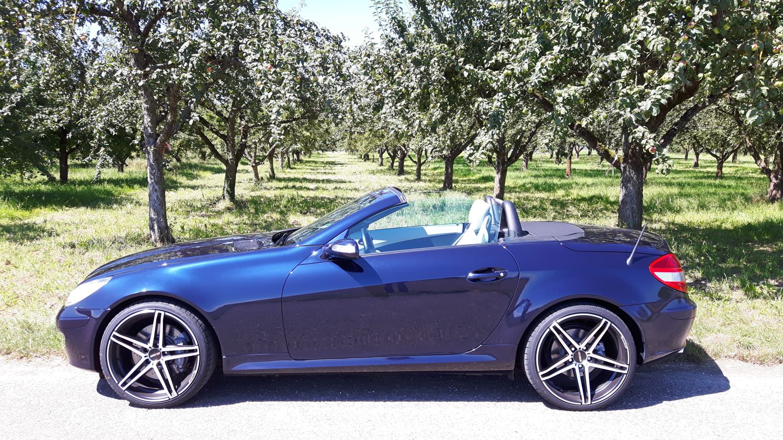Mit den neuen Felgen vor der Obstbaumallee